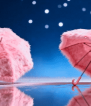 粉色毛绒雨伞特写素材15020#横屏 