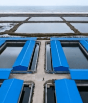 俯瞰水产养殖鱼塘12968#横屏 