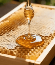 蜂巢上蜂蜜滴落特写1644#横屏 