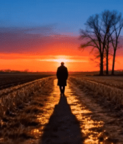 田野中人物夕阳下独自行走1423#横屏 