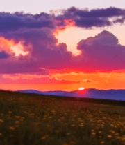 田野日落自然风光(1)11962#横屏 