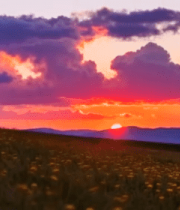 田野日落自然风光(1)11962#横屏 