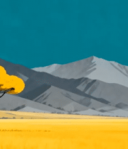 田野山丘间的两棵黄树风景7402#横屏 