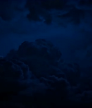 特写绽放的粉色花朵4516#横屏 