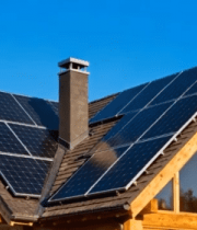 特写蘑菇菌褶细节画面9489#横屏 