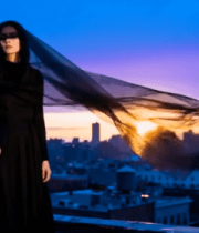 特写白花朵素材13347#横屏 