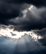 特写粉色荷花素材13678#横屏 