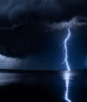 特写粉色山茶花9280#横屏 