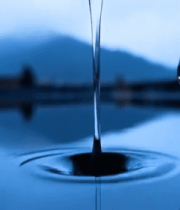 特写橙色花朵自然素材2446#横屏 