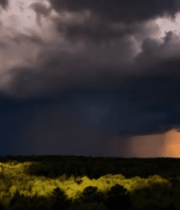 炭火上烤制的鸡腿特写5855#横屏 