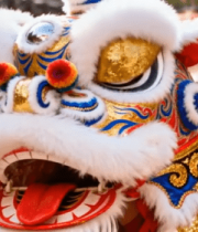 炭火烤制生蚝美食素材622#横屏 