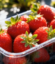 塑料盒中新鲜草莓特写(1)13045#横屏 