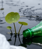 水域中漂浮的塑料瓶和塑料袋12891#横屏 