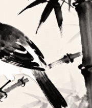 水墨风竹枝上的鸟11980#横屏 