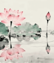 水墨荷花荷叶画面8315#横屏 