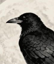 水墨风月夜栖枝乌鸦素材10164#横屏 