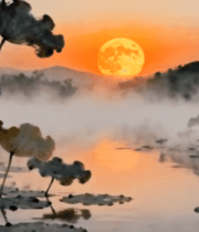 水墨风荷塘落日美景5180#横屏 