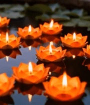 水面漂浮的荷花蜡烛1035#横屏 