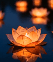 水面漂浮的莲花形状蜡烛11101#横屏 