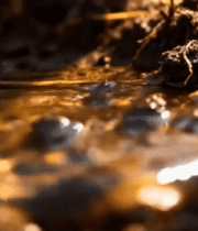 水滴浇灌土壤画面5503#横屏 