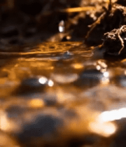 水滴浇灌土壤画面5503#横屏 