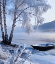 冬季河畔雾凇雪景素材13443#横屏 