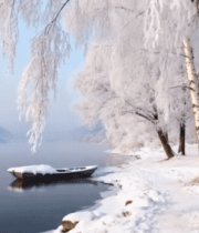 冬季河岸雾凇雪景7642#横屏 