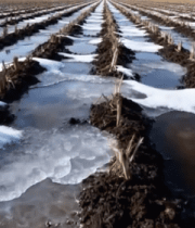 冬季积雪覆盖的农田景象427#横屏 