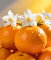 堆叠的柑橘及顶部白花特写12672#横屏 