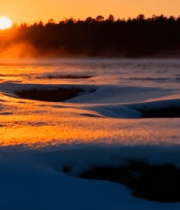 冬日雪地森林日落景色1851#横屏 