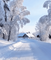 冬日雪覆盖的森林与房屋景象5122#横屏 