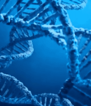 双螺旋结构素材1778#横屏 