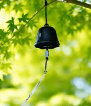 树枝上悬挂的日式风铃2886#横屏 