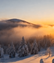 冬日森林雪景日落景观1664#横屏 