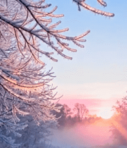 	 冬日森林雾凇日出景致6827#横屏 