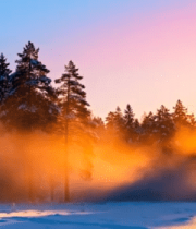 冬日森林日出景象9370#横屏 