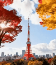 	 东京塔秋日枫叶城市景观13148#横屏 