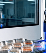 实验室机械臂操作培养皿()6916#横屏 