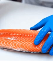 	 戴手套处理三文鱼的手部特写13639#横屏 