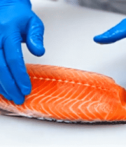 戴手套处理三文鱼食材2945#横屏 