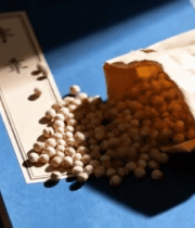 袋装白扁豆洒落桌面素材10851#横屏 