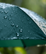 	 带水珠的绿色雨伞特写5509#横屏 