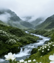 山间溪流花卉自然风光6833#横屏 