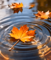 山间草地森林自然风光1579#横屏 