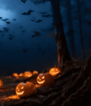 森林中万圣节南瓜灯与蝙蝠4813#横屏 
