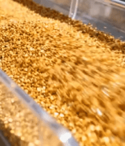 传送带上的谷物素材1324#横屏 