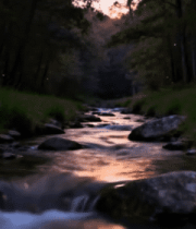 森林中溪流黄昏景色4726#横屏 