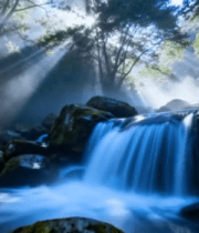 森林中溪流瀑布阳光美景9005#横屏 