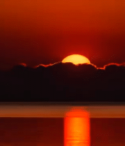 森林夕阳下的自然景观14085#横屏 