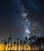 森林夜空星空全景9518#横屏 